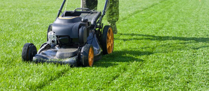 Some Common Lawn Care Tips