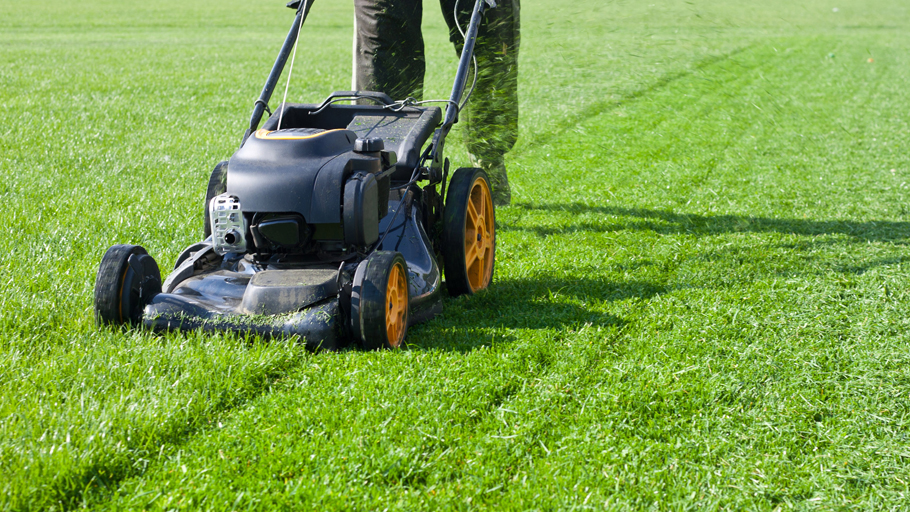 Some Common Lawn Care Tips