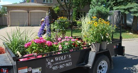 Wolf Landscaping