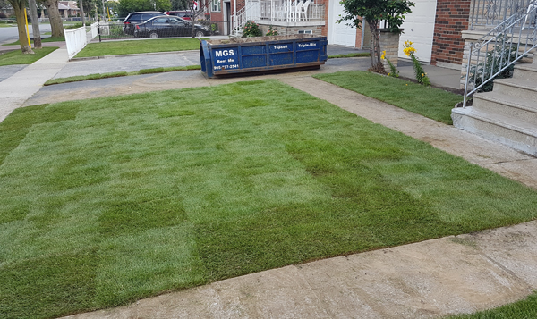 Landscape Design/ Build/ Maintain