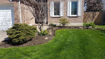 Landscaping Services