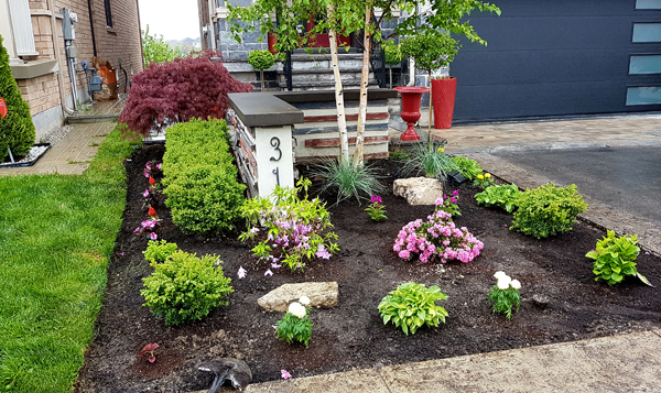 Planting/ Flower Bed Design