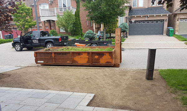 Tree Planting/ Removal/ Trimming